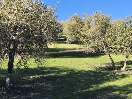 Parcela rústica en venta en Alfacar