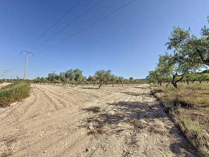 Parcela rústica en venta en Biar