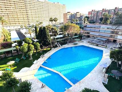Apartamento en alquiler en Alicante