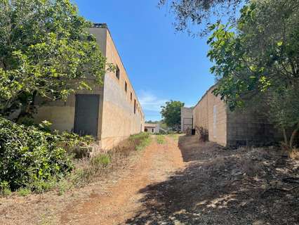 Casa rústica en venta en Ariany