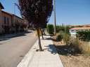Parcela rústica en venta en Alcalá de Moncayo