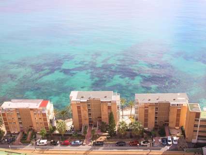Apartamento en alquiler en Alicante zona Albufereta