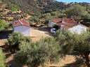 Cortijo en venta en Villaviciosa de Córdoba