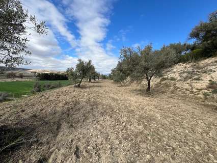 Parcela rústica en venta en Alhendín