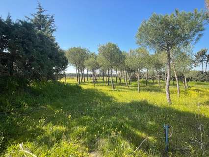 Parcela rústica en alquiler en Leganés