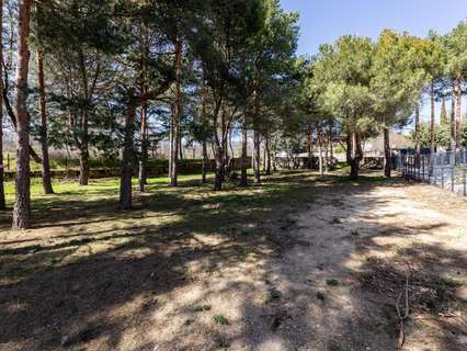 Parcela rústica en venta en Navacerrada