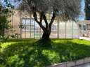 Piso en alquiler en Galapagar