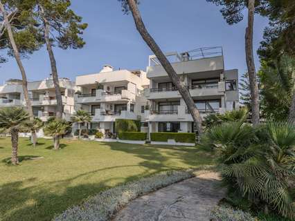 Planta baja en alquiler en Alcúdia