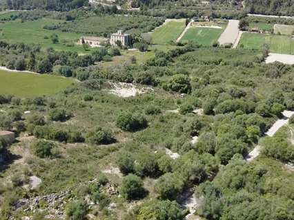 Parcela rústica en venta en Muro