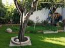 Casa en venta en La Roda