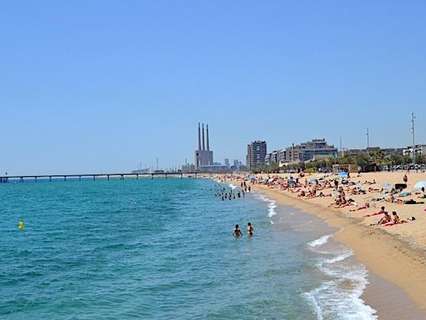 Local comercial en alquiler en Badalona