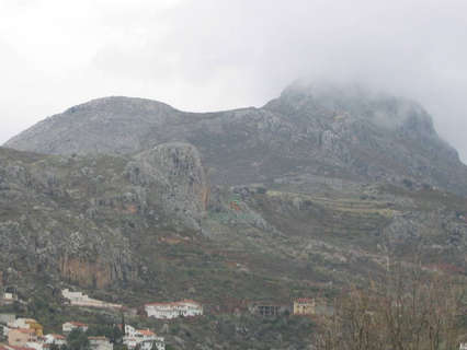 Parcela rústica en venta en Cogollos de la Vega