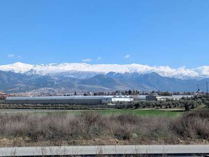 Parcela rústica en venta en Las Gabias