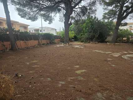 Parcela rústica en venta en Llucmajor