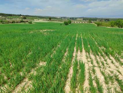 Parcela rústica en venta en Almansa