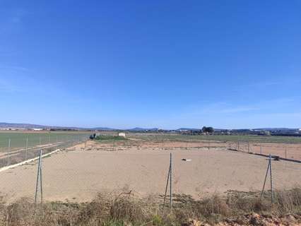 Parcela rústica en venta en Almansa