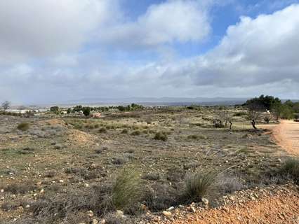 Parcela rústica en venta en Almansa