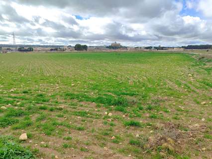 Parcela rústica en venta en Almansa