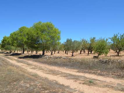 Parcela rústica en venta en Almansa