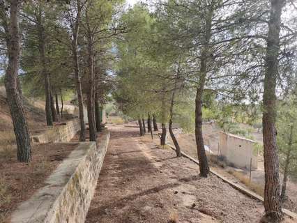 Parcela rústica en venta en Almansa