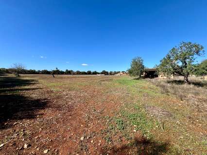 Parcela rústica en venta en Campos