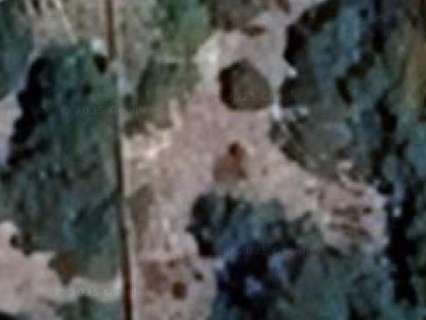 Parcela rústica en venta en Llucmajor