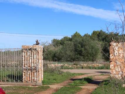 Parcela rústica en venta en Campos