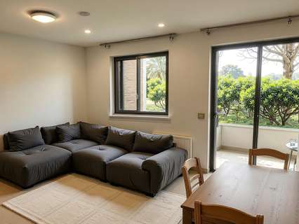 Planta baja en venta en Palma de Mallorca