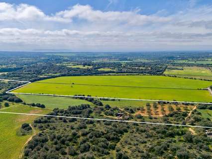 Parcela rústica en venta en Santanyí