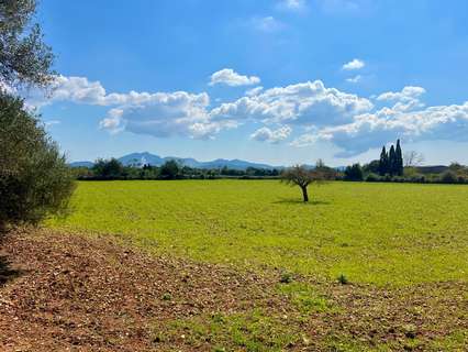 Parcela rústica en venta en Porreres