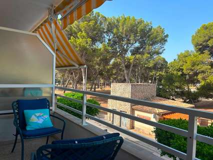 Estudio en alquiler en Calvià