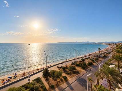 Ático en alquiler en Palma de Mallorca