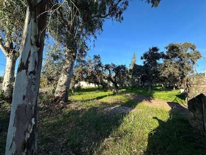 Parcela rústica en venta en Córdoba