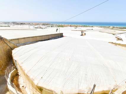 Parcela rústica en venta en El Ejido zona Balerma