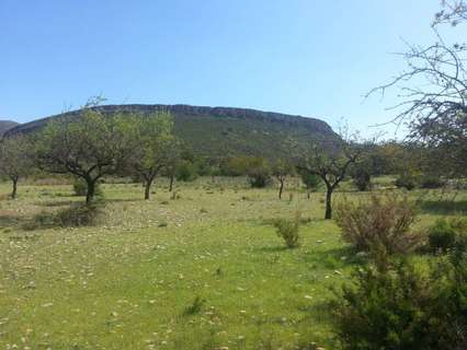 Parcela rústica en venta en Chiva