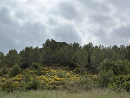 Parcela rústica en venta en Montserrat