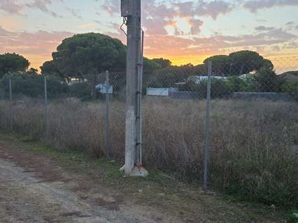 Parcela rústica en venta en Chiclana de la Frontera