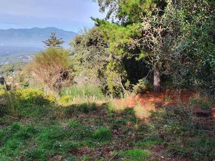 Parcela rústica en venta en Vallgorguina