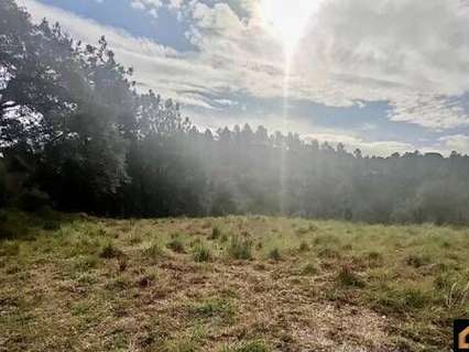 Parcela rústica en venta en Tordera