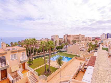 Apartamento en alquiler en Torrevieja