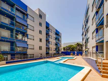 Estudio en venta en Torrevieja rebajado
