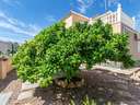 Casa en venta en Orihuela zona Orihuela-Costa