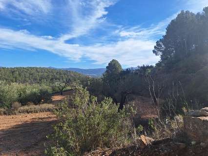 Parcela rústica en venta en Castalla