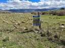 Parcela en venta en Palazuelos de Eresma zona Carrascalejo
