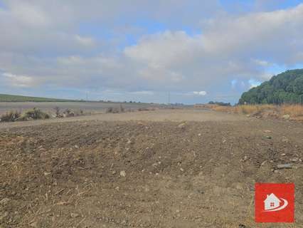 Parcela rústica en venta en Sanlúcar de Barrameda