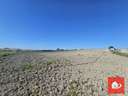 Parcela rústica en venta en Sanlúcar de Barrameda