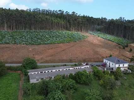 Parcela urbana en venta en O Vicedo