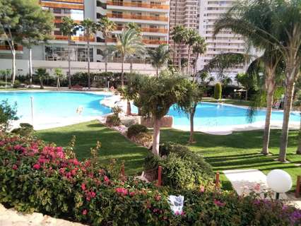 Apartamento en venta en Benidorm zona Rincon de Loix