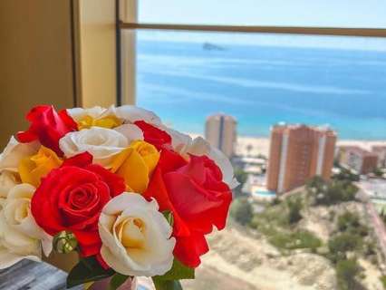 Apartamento en venta en Benidorm zona Poniente