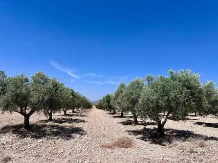 Parcela rústica en venta en Monóvar/Monòver